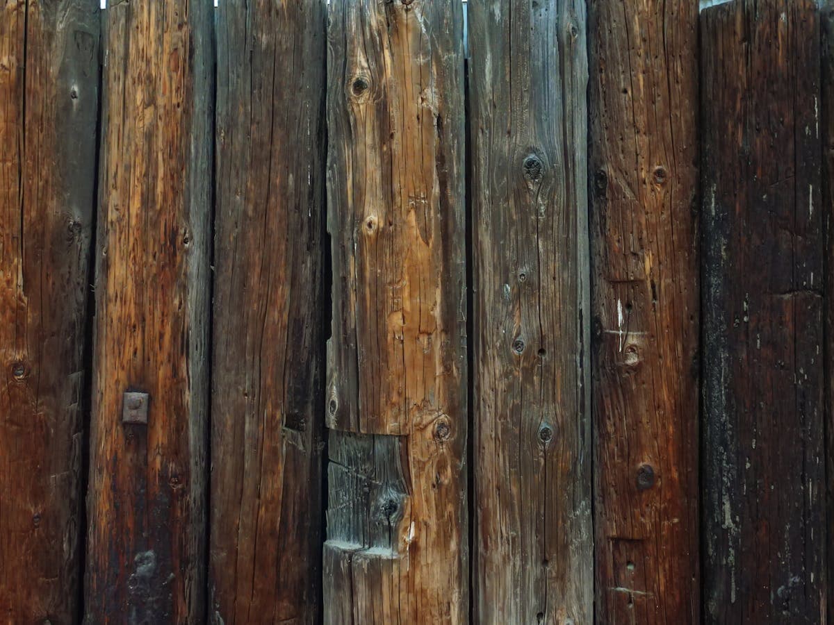 Cedar privacy fence — Greeley