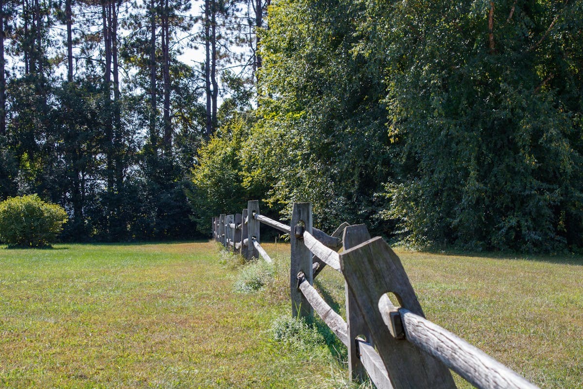 Split-rail pasture — Warwick