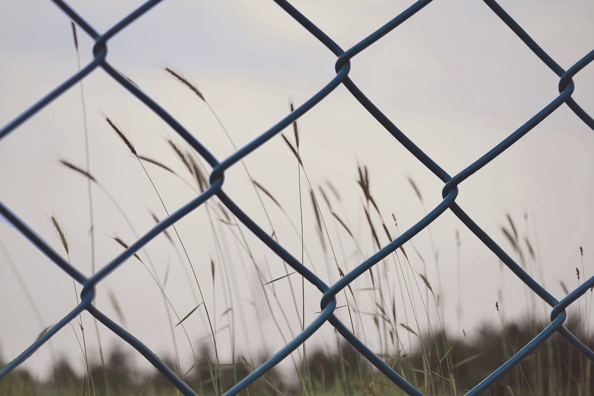 Chain-link dog run — Newton