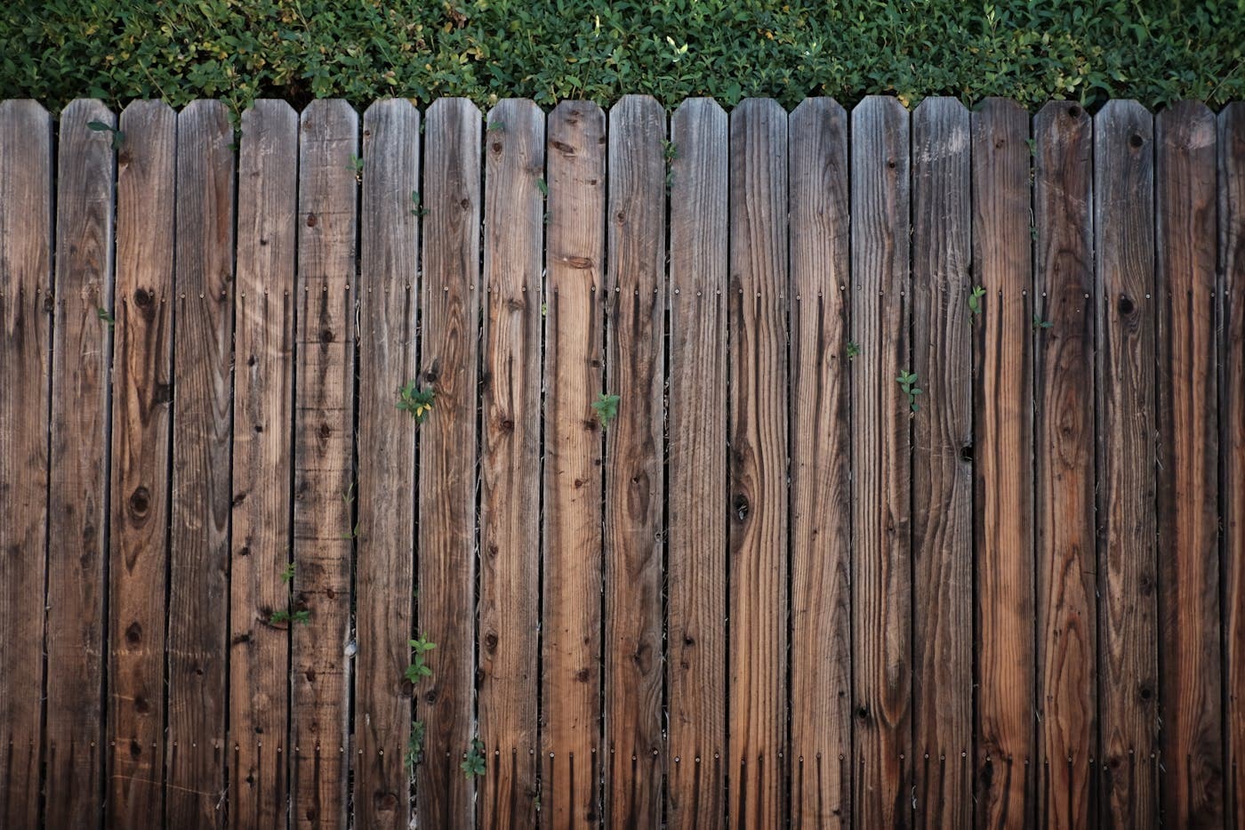 Wood Privacy fence